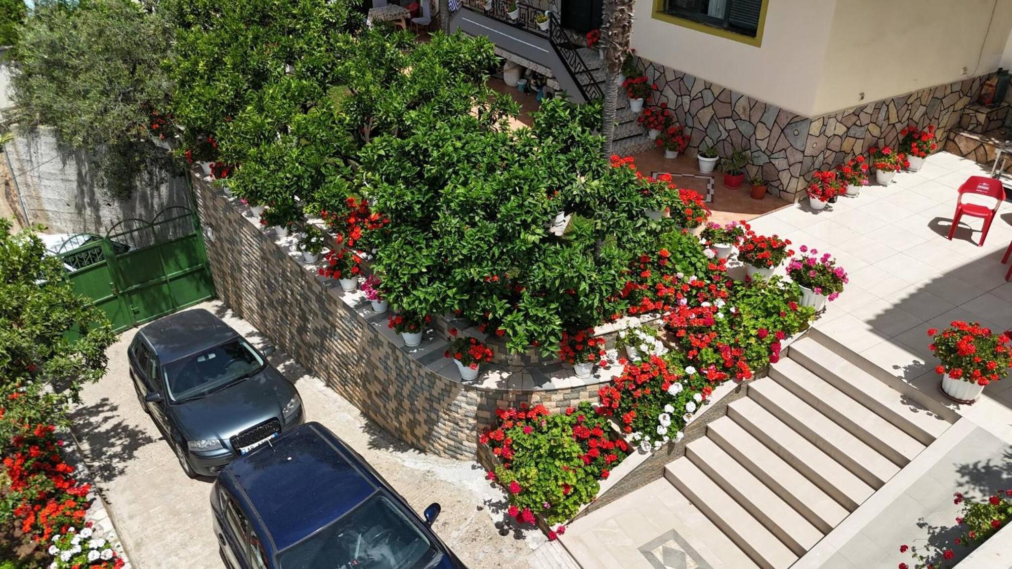 Villa Meminaj Вльора Екстер'єр фото